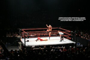 Ric Flair vs Shawn Michaels · WWE RAW Live & Loaded · photo 68