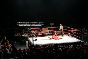 Ric Flair vs Shawn Michaels · WWE RAW Live & Loaded · photo 78