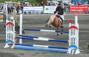 Miljoona Hevonen 2014 Lauantai · kuva 129 Miljoona Hevonen 2014 Lauantai · kuva 129