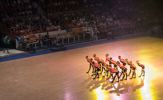 Tšekki · Gymnaestrada 2015: FIG-gaala · kuva 72