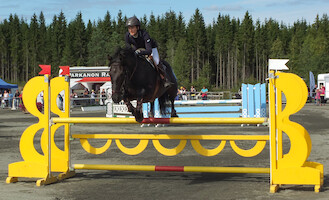 Miljoona Hevonen 2014 Sunnuntai · kuva 52 Miljoona Hevonen 2014 Sunnuntai · kuva 52