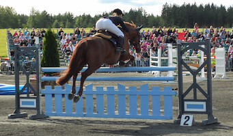 Miljoona Hevonen 2014 Sunnuntai · photo 253 Miljoona Hevonen 2014 Sunnuntai · photo 253