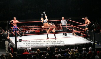Batista & Triple H vs Chris Benoit & Randy Orton · WWE RAW Live & Loaded · kuva 86