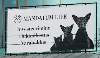 Mandatum Life · Tallinn snapshots 2013 · kuva 33