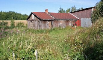 Pihaa ja suuri ulkorakennus · The old farm · photo 23