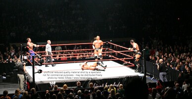 Batista & Triple H vs Chris Benoit & Randy Orton · WWE RAW Live & Loaded · kuva 98