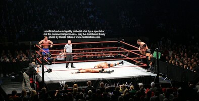 Batista & Triple H vs Chris Benoit & Randy Orton · WWE RAW Live & Loaded · kuva 99