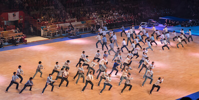 International · Gymnaestrada 2015: FIG Gala · photo 48 International · Gymnaestrada 2015: FIG Gala · photo 48