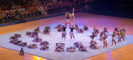 Austria · Gymnaestrada 2015: FIG Gala · photo 107 Austria · Gymnaestrada 2015: FIG Gala · photo 107