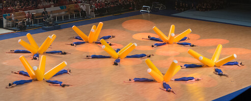 Brasilia · Gymnaestrada 2015: FIG-gaala · kuva 40