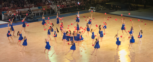 Sweden · Gymnaestrada 2015: FIG Gala · photo 56 Sweden · Gymnaestrada 2015: FIG Gala · photo 56