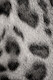 Bengal · Macro cats · photo 16 Bengal · Macro cats · photo 16