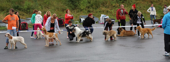 Mega Match Show 2013 · photo 278 Mega Match Show 2013 · photo 278