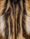 Bengal · Macro cats · photo 19 Bengal · Macro cats · photo 19