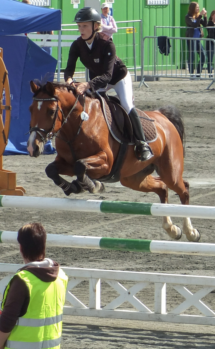 Miljoona Hevonen 2014 Lauantai · kuva 155 Miljoona Hevonen 2014 Lauantai · kuva 155