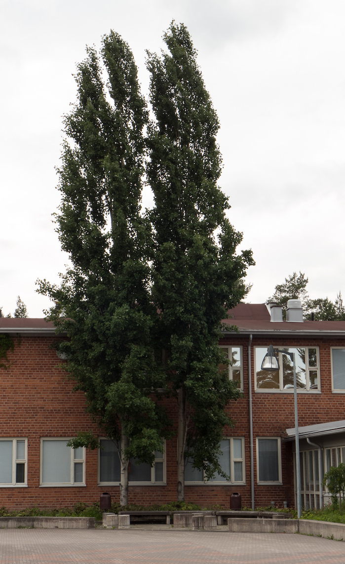 Kankarisveden koulu, Jämsänkoski Kankarisveden koulu, Jämsänkoski