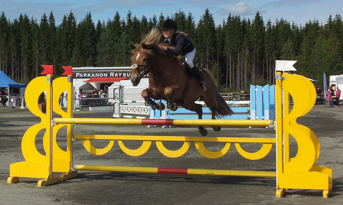 Miljoona Hevonen 2014 Sunnuntai · kuva 38 Miljoona Hevonen 2014 Sunnuntai · kuva 38