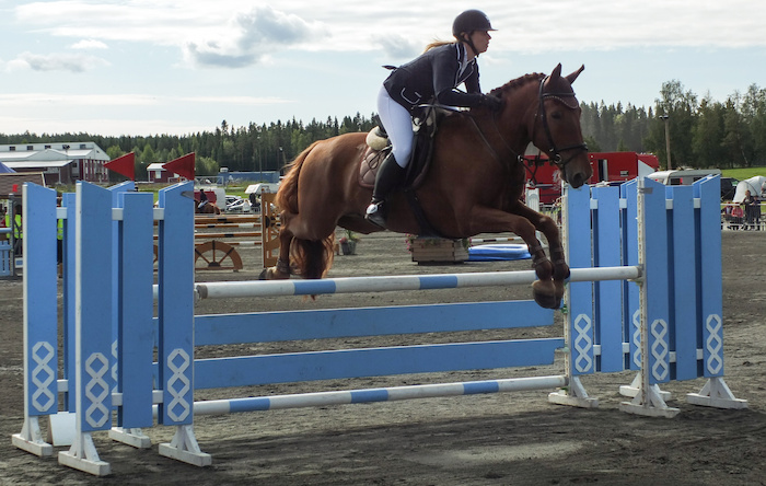 Miljoona Hevonen 2014 Sunnuntai · photo 7 Miljoona Hevonen 2014 Sunnuntai · photo 7
