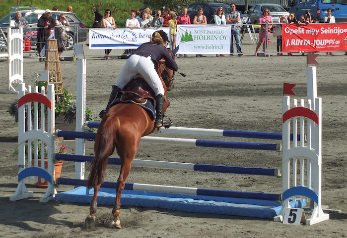 Miljoona Hevonen 2014 Lauantai · kuva 194 Miljoona Hevonen 2014 Lauantai · kuva 194