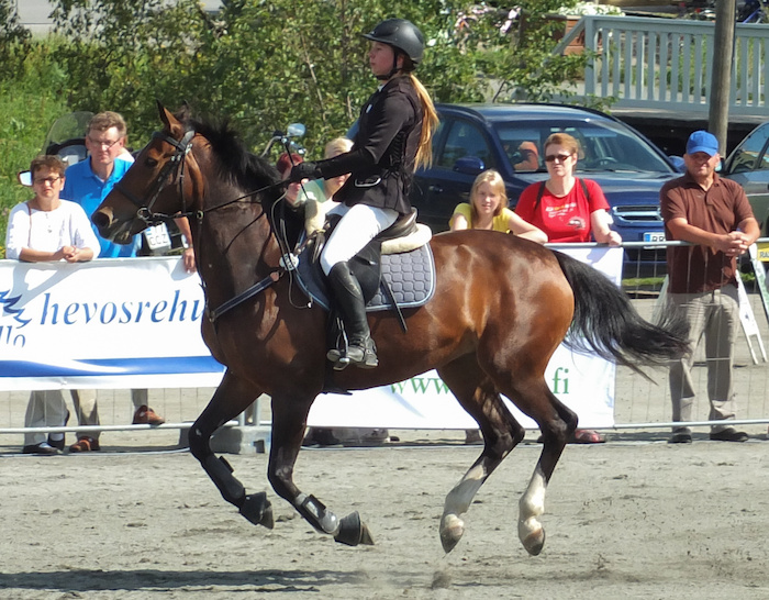 Miljoona Hevonen 2014 Lauantai · kuva 175 Miljoona Hevonen 2014 Lauantai · kuva 175