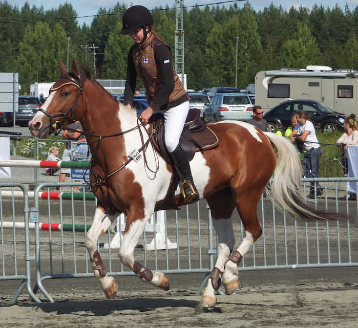Miljoona Hevonen 2014 Sunnuntai · kuva 79 Miljoona Hevonen 2014 Sunnuntai · kuva 79
