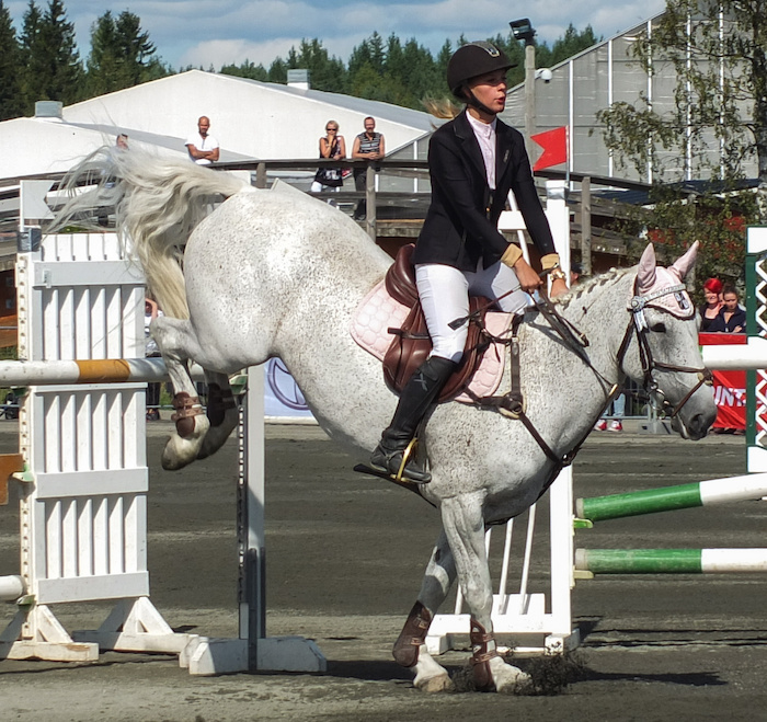 Miljoona Hevonen 2014 Sunnuntai · photo 99