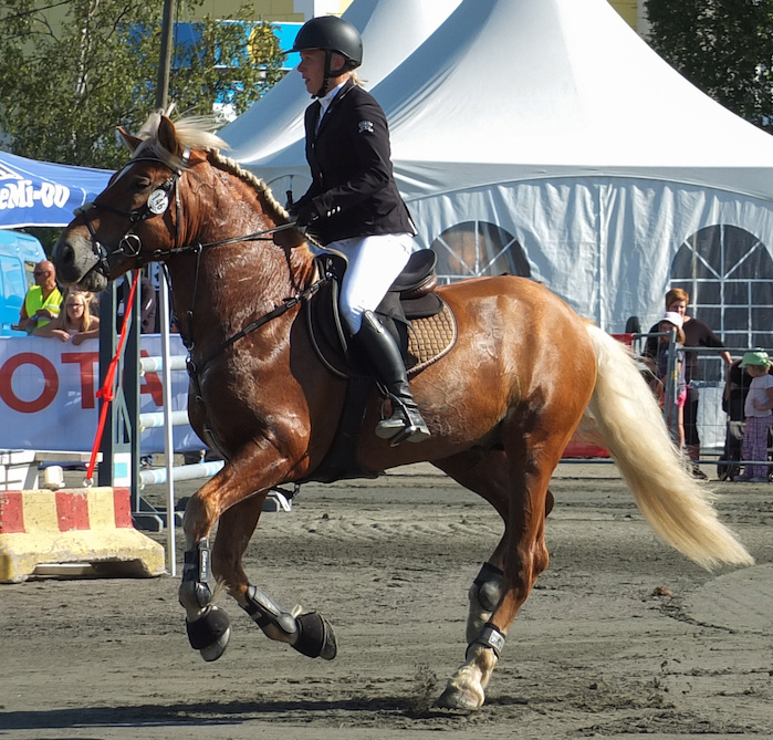 Miljoona Hevonen 2014 Lauantai · kuva 15 Miljoona Hevonen 2014 Lauantai · kuva 15