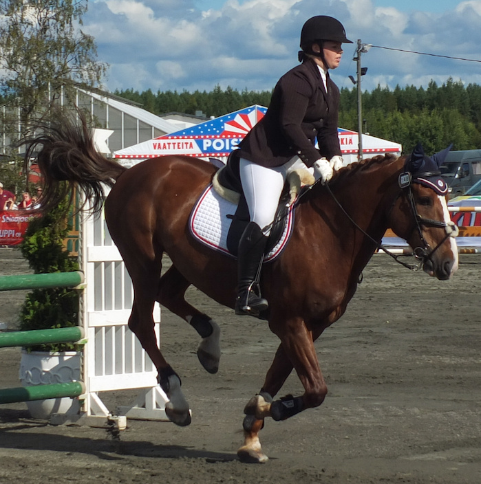 Miljoona Hevonen 2014 Lauantai · photo 117