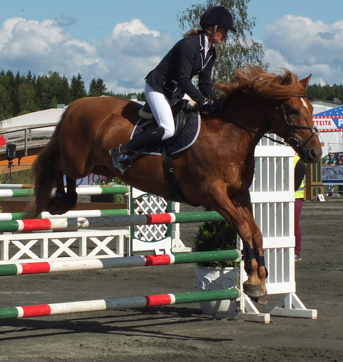 Miljoona Hevonen 2014 Lauantai · photo 91