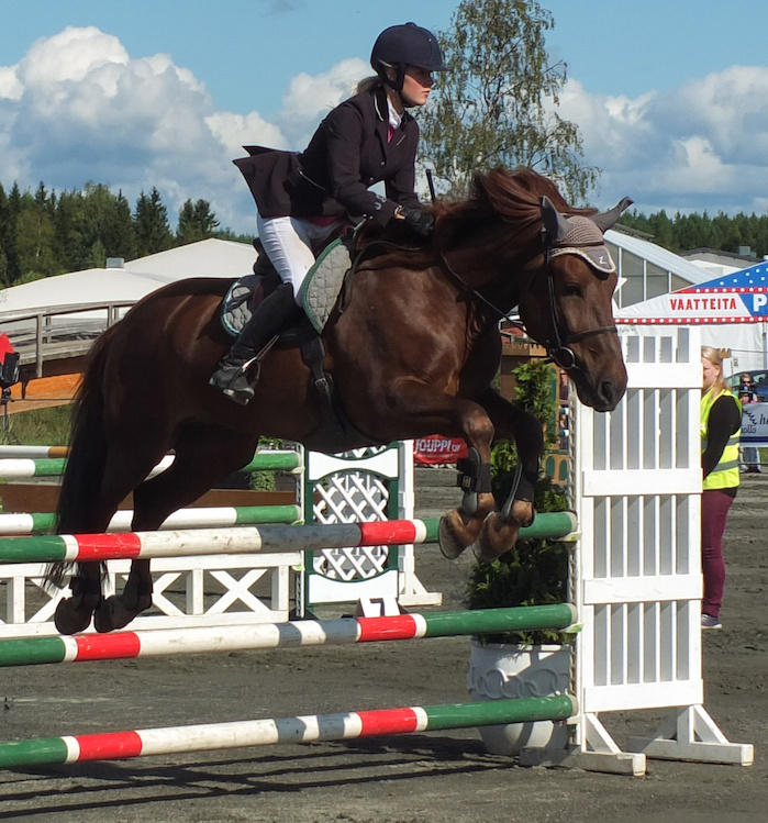 Miljoona Hevonen 2014 Lauantai · kuva 102 Miljoona Hevonen 2014 Lauantai · kuva 102
