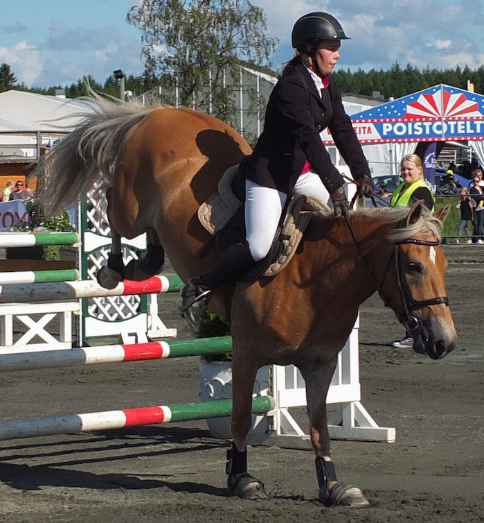 Miljoona Hevonen 2014 Lauantai · kuva 61 Miljoona Hevonen 2014 Lauantai · kuva 61