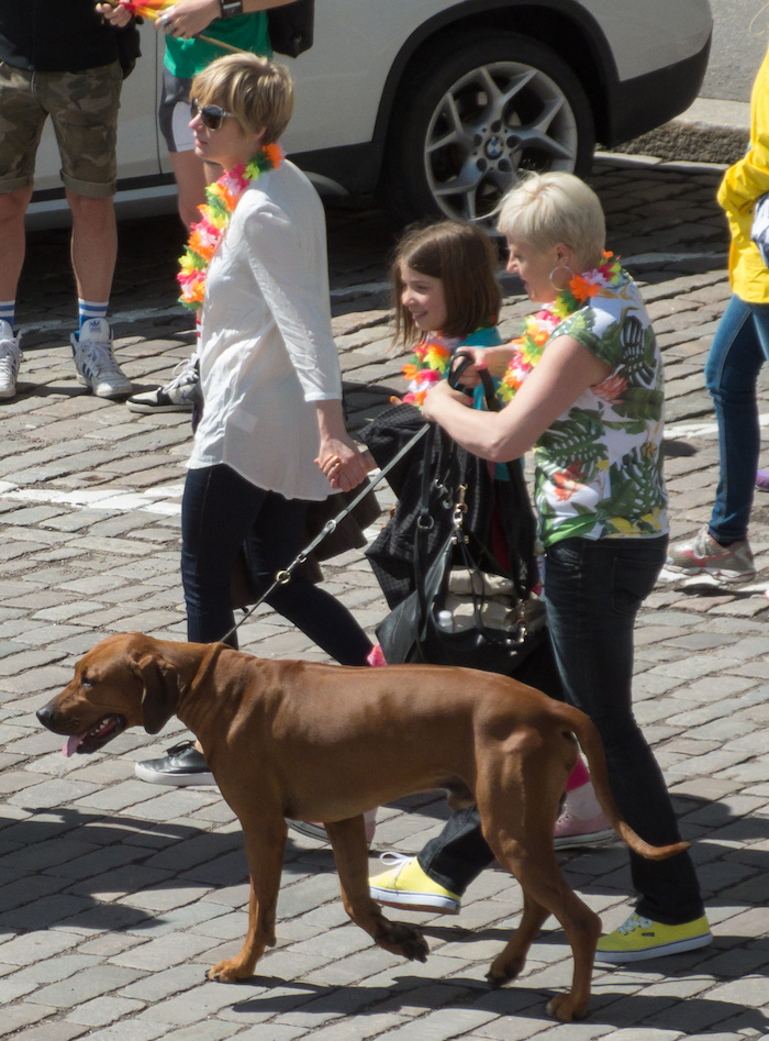 Helsinki Pride Parade 2015 · photo 11 Helsinki Pride Parade 2015 · photo 11