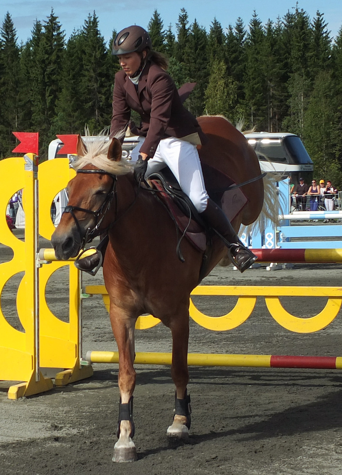 Miljoona Hevonen 2014 Sunnuntai · kuva 62 Miljoona Hevonen 2014 Sunnuntai · kuva 62