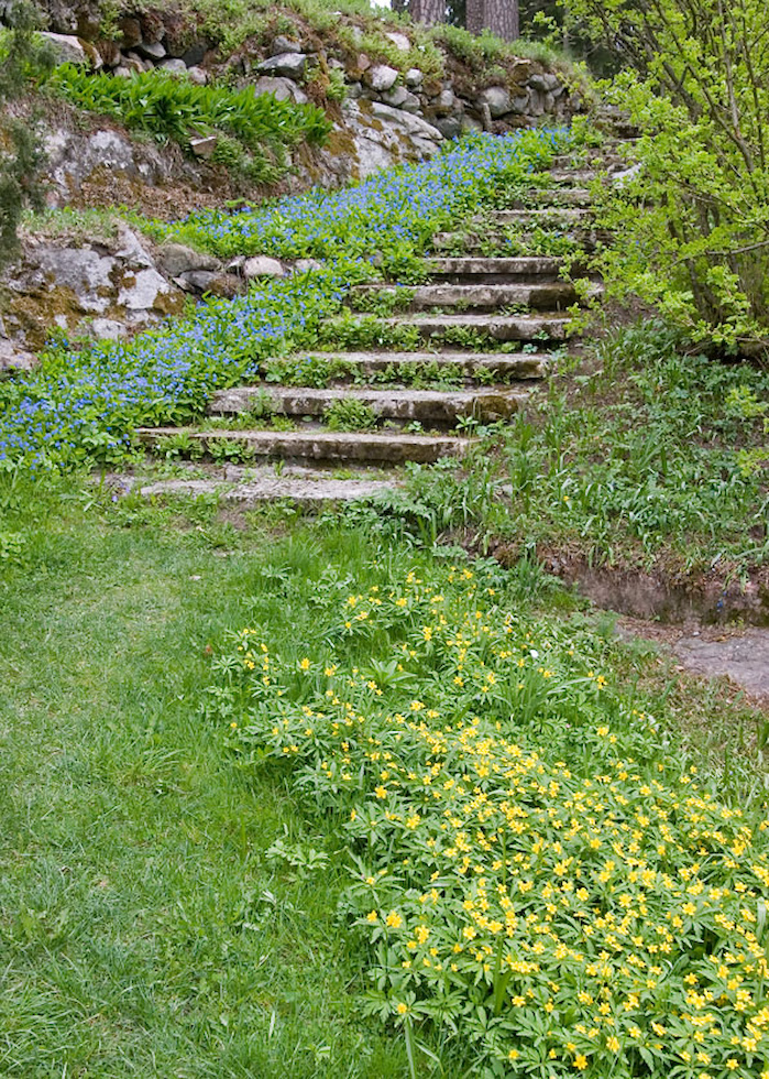 Kauniit portaat Ainolan takapihalla