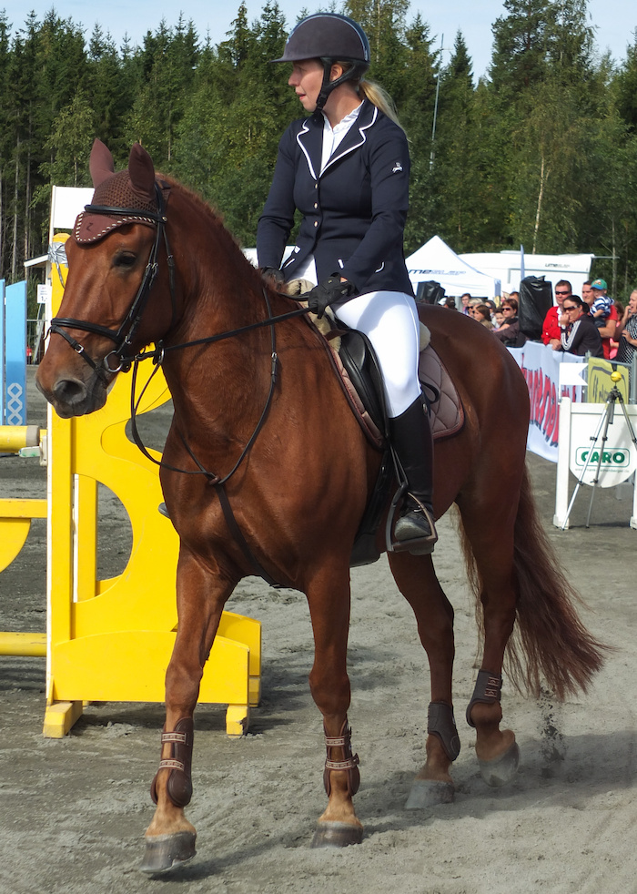 Miljoona Hevonen 2014 Sunnuntai · kuva 44 Miljoona Hevonen 2014 Sunnuntai · kuva 44